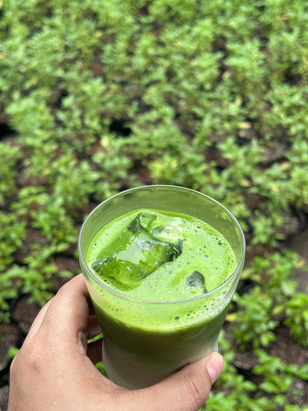 Kuro クロ | 30g Tin Can